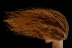 Red hair gene appears to have been favored by natural selection