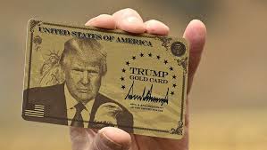 لاتنیک: تاکنون فقط یک ویزای «gold card» ترامپ تأیید شده است