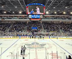 Les partisans des Toronto Sceptres réclament une présence permanente au Coca‑Cola Coliseum