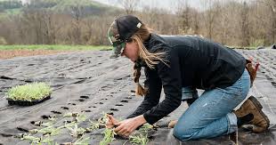 Les agricultrices plus touchées par la détresse mentale, montre une étude de Guelph
